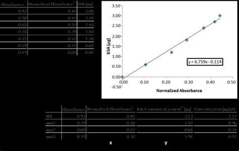 Total Protein Quantification With Bradford Assay 1 Normalized