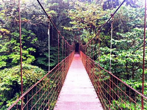 Exploring The Cloud Forest In Monteverde Costa Rica Hungryfortravels