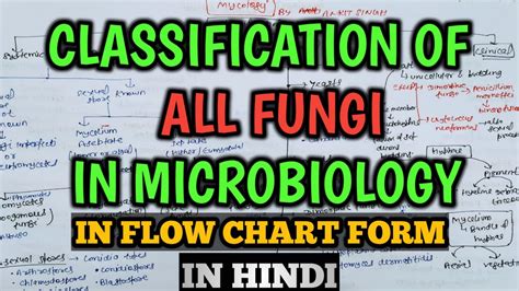 Mycology Classification Of Fungi In Microbiology Classification Of