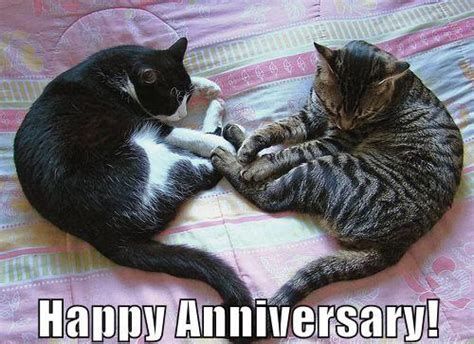 Happy Anniversary Meme For Wife Husband And Loved Ones