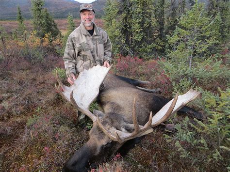 But over the past year, i've been getting more folks asking about diy moose hunting in alaska, pushing it ahead of mule deer hunting inquiries. Alaska Self-guided Trophy Moose Hunts