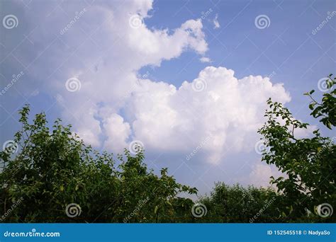 Summer Cumulus Clouds In Blue Sky Over Apple Orchard Stock Photo