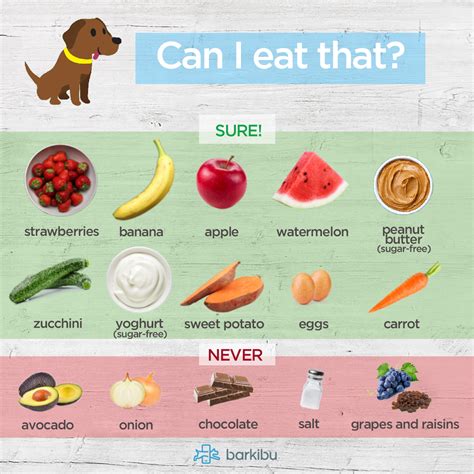 However, veterinarians would advise owners asking can dogs safely eat a whole persimmon? to err on the side of caution never even try feeding persimmons to your dogs outright because the seeds can become easily accessible to them. Can Dogs Eat Bananas? How Much Banana Can My Dog Eat ...