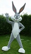 Looney Tunes – Bugs Bunny | Best friend halloween costumes, 3 people ...