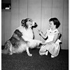 Lassie shaking hands with Linda Wrather Photo Print (24 x 30) - Walmart ...