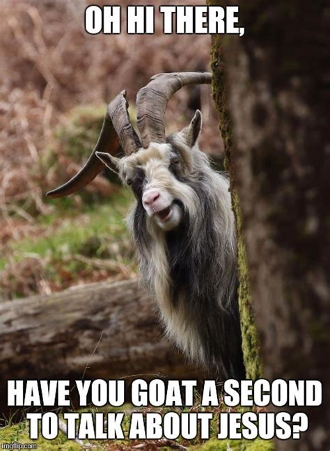Goat Memes