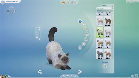 Sims 4 Pets Stuff Pack