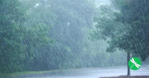 This Incredibly Rare Rain Bomb Falling From The Sky Looks Insane