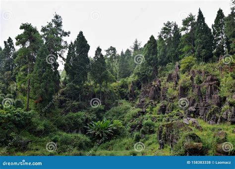 The Red Stone Forest National Geopark In Hunan Province China Stock