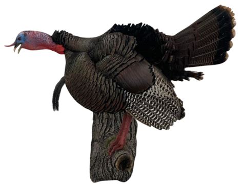 Gobbling Turkey Mounts Stehlings Taxidermy