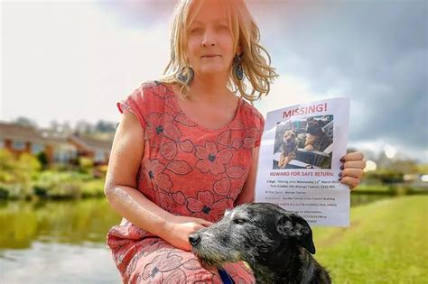 Womans Warning To Pet Owners After Two Of Her Dogs Are Stolen Devon Live