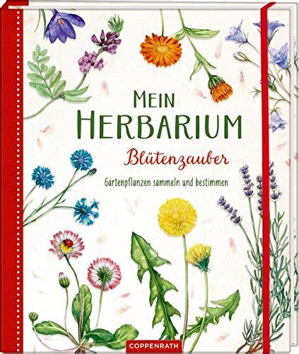 Kommerzielle nutzung gratis erstklassige bilder Herbarium Deckblatt Vorlage Pdf