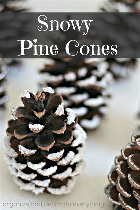 Snowy Pine Cones 4 Ways With Images Christmas Pine Cones