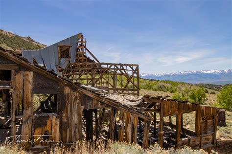 Alpine mine nevada – Artofit