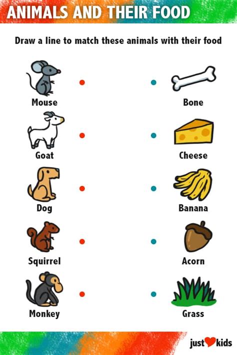 Animals And Their Food Chart
