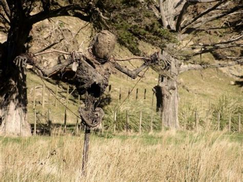 The Creepiest Scarecrow Ever 5 Pics