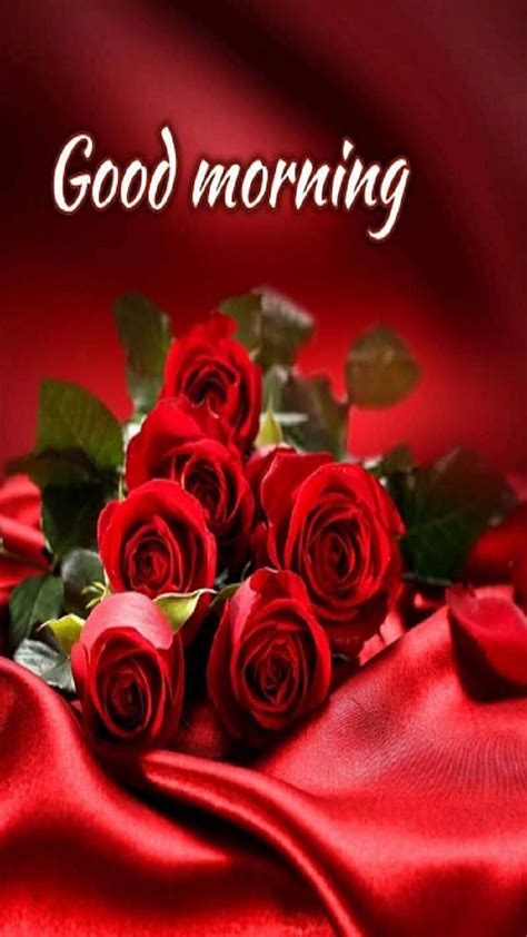 Good Morning Roses Hd Phone Wallpaper Peakpx