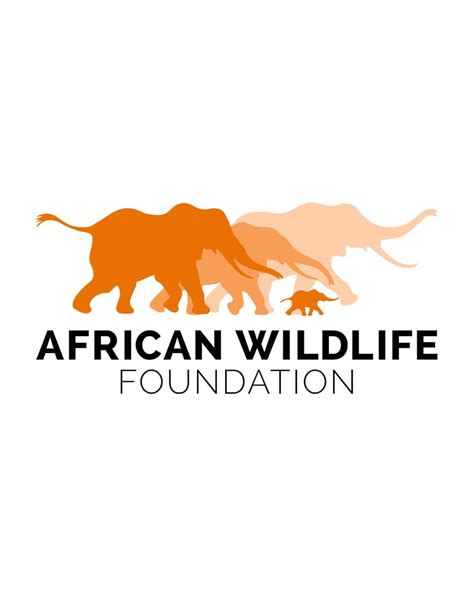 African Wildlife Foundation Finance And Administration Manager