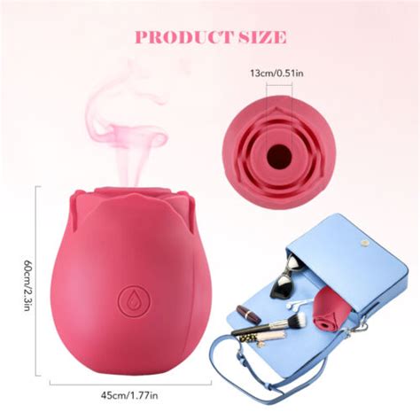 Clit Pump Sucking Rose Vibrator Dildo Sucker Waterproof Sex Toy Women 10 Speeds Ebay