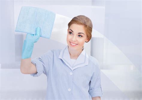 naked clean house cleaning smarter solutions