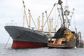 085 643 474 222 lowongan kerja kapal pesiar australia. LOWONGAN KERJA KAPAL IKAN KOREA ~ GLOBAL SEAMAN RECRUITMENT