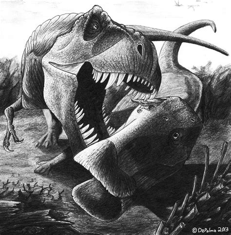 A Healed Scar Suggests A Duckbill Was Attacked By A Tyrannosaurus Rex And Survived By Robert