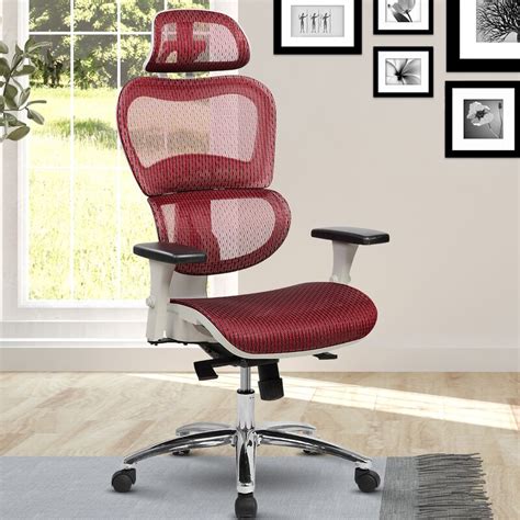 Eure Deluxe Ergonomic Mesh Office Chair 
