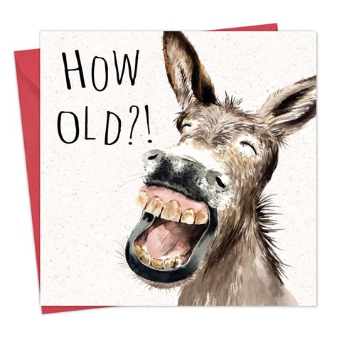Buy Twizler Funny Birthday Card With Donkey Funny Card Birthday