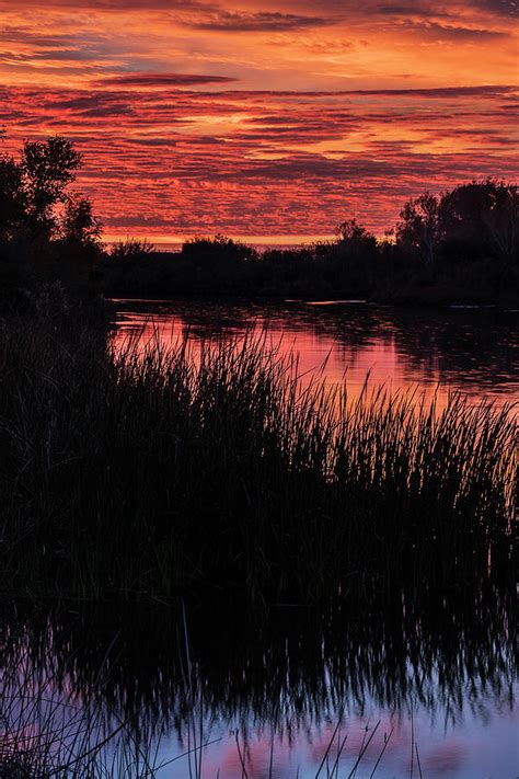 Colorado River Sunrise Yuma Photograph By Dale Balmer Fine Art America