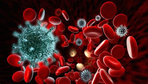 Autoimmune Hemolytic Anemia Aiha Science Of Healthy