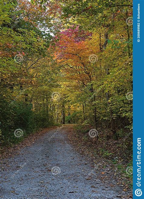 Country Road With The Treesshowing Fall Color Stock Photo Image Of