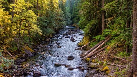 Beautiful Hd Wallpaper Mountain River Rocks Forest