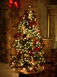 Christmas Tree Pics 01
