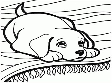 Small Dog Coloring Pages At Free