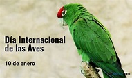 10 de enero: Día Internacional de las Aves, ¿por qué se celebra hoy?