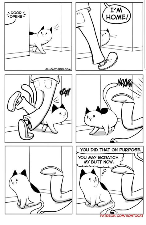 pin by sandy ayres on cats furry rulers of the world how to cat cat comics cute cats