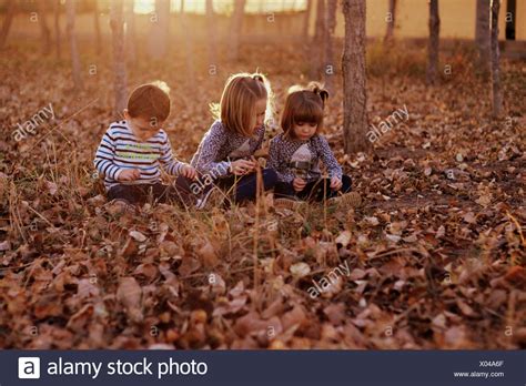 Children Playing In Autumn Leaves Stock Photos And Children Playing In