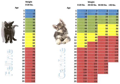 34 Hq Pictures Cat Weight Chart Funny Use This Chart As A Guideline For Feeding Remember That