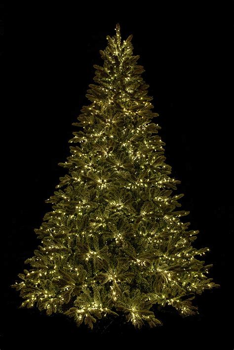 Earthflora Christmas Holiday Flocked Pepvc Sheldon Fir Tree With