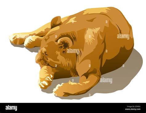 Sleeping Lion Drawing High Resolution Stock Photography And Images Alamy