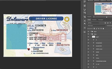 Delaware Driver License Usa