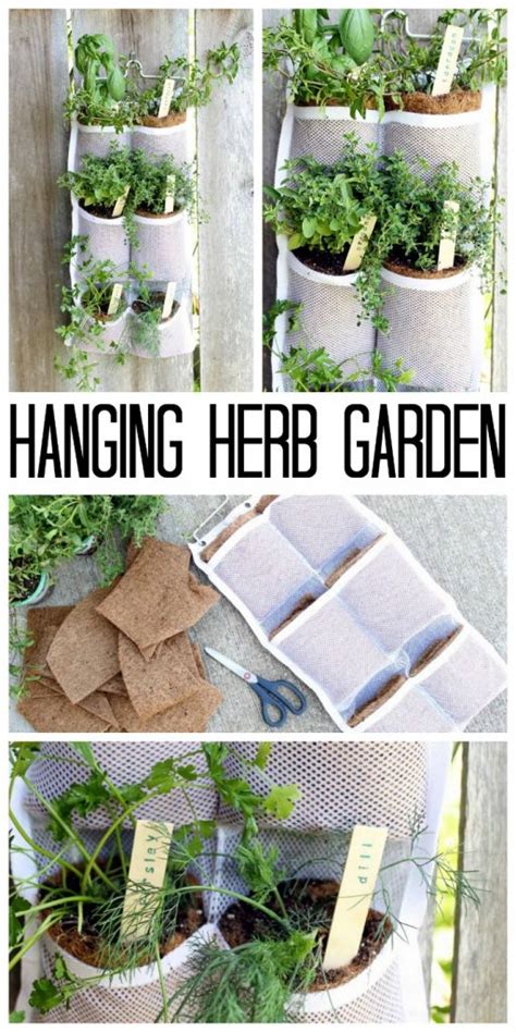 Hanging Herb Garden Diy And Benefits The Country Chic Cottage