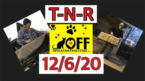 Trapping Feral Cats Trap Neuter Return Tnr 12620 Colony Of 26 Part 2
