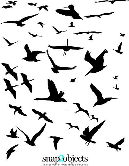 46 Free Vector Flying Birds Silhouettes Images And Photos Finder