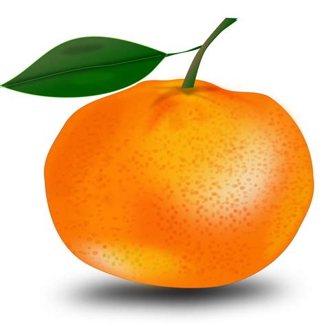 Clipart Orange