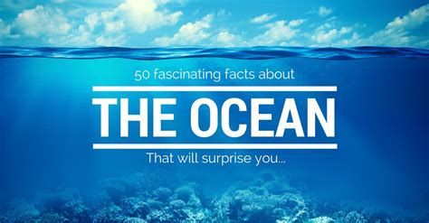 50 Fascinating Facts About The Ocean Infographic