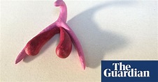 How a 3D clitoris will help teach French schoolchildren about sex ...