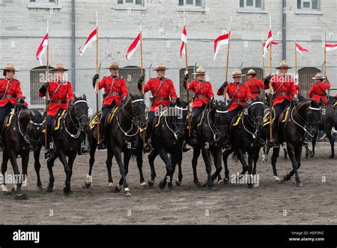 Royal Canadian Mounted Police Horse Ontario Canada Stock Photo Alamy