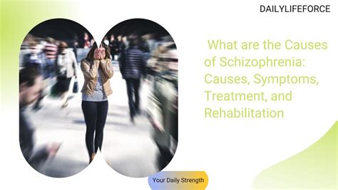 causes of schizophrenia symptoms treatment and rehabilitation