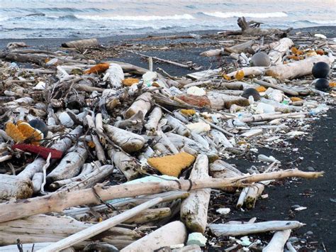 Now Funded Work Begins To Clean Tsunami Trash From Remote Alaska Beaches Anchorage Daily News